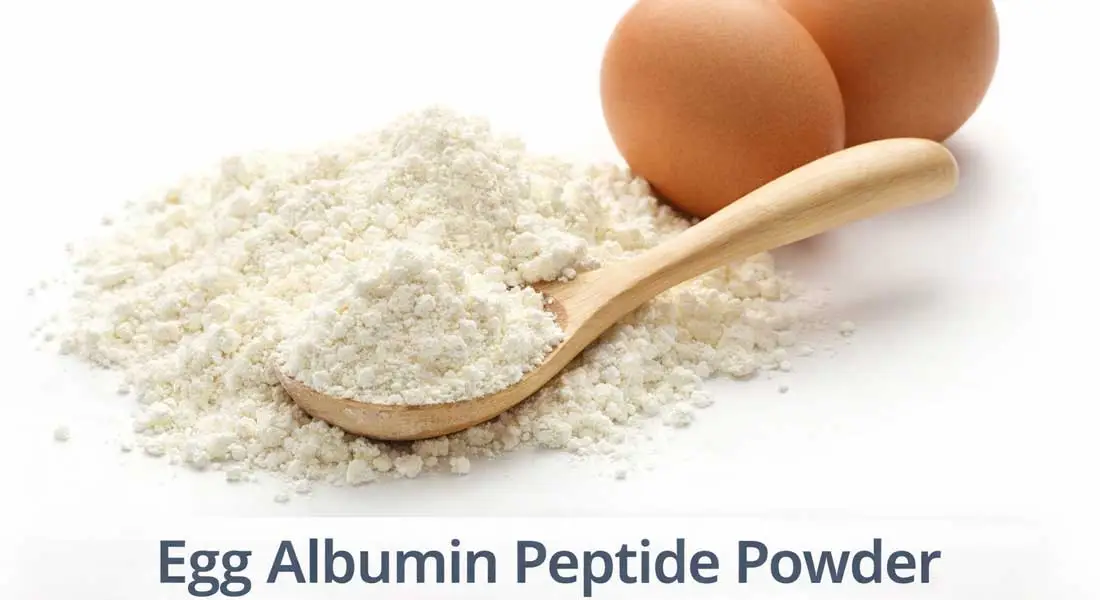 Egg Albumin Peptide