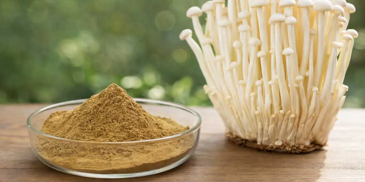 Flammulina-Velutipes-Extract