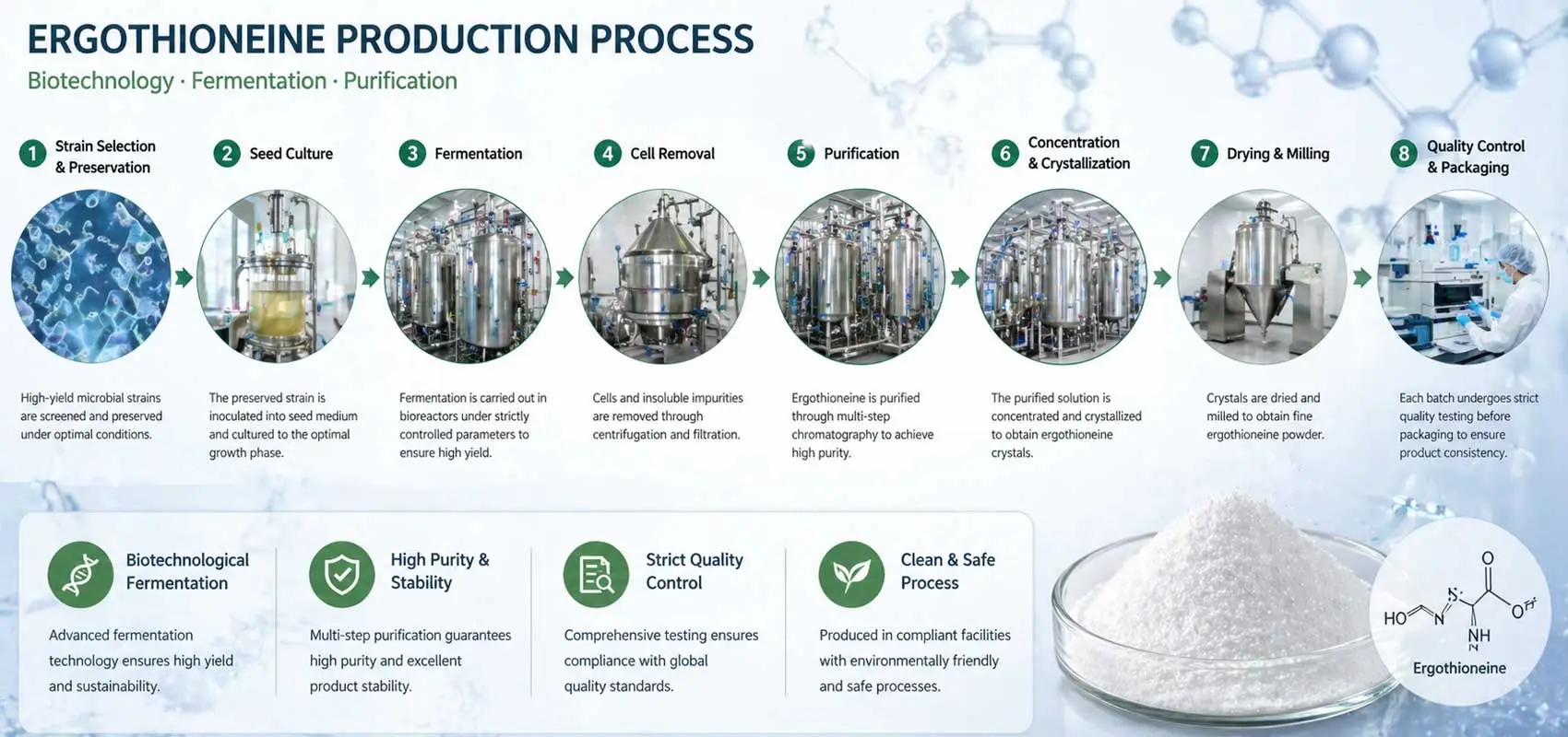 ergothioneine-production-fermentation-process ergothioneine-production-fermentation-process