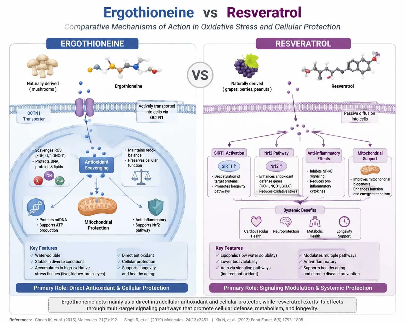 cellular-antioxidant-vs-polyphenol-mechanism cellular-antioxidant-vs-polyphenol-mechanism