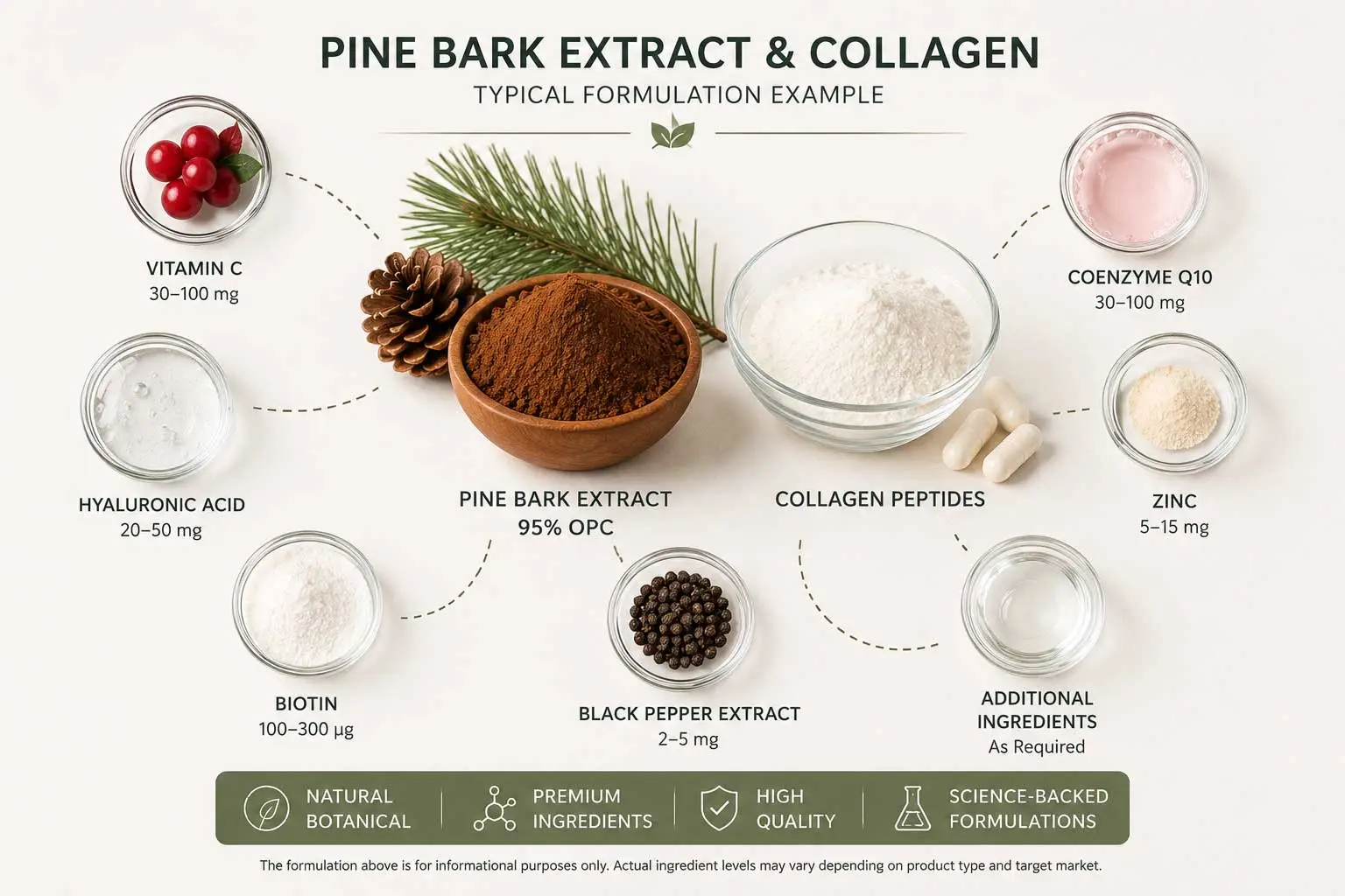 pine-bark-extract-collagen-applications