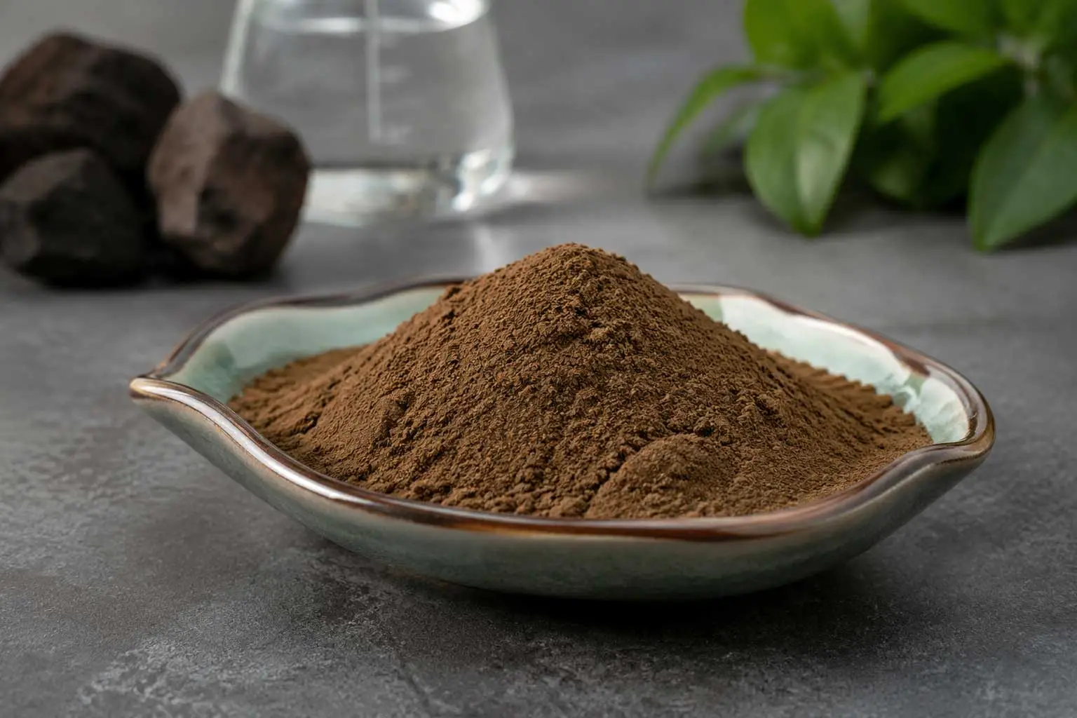 Shilajit-Extract-Powder-supplier