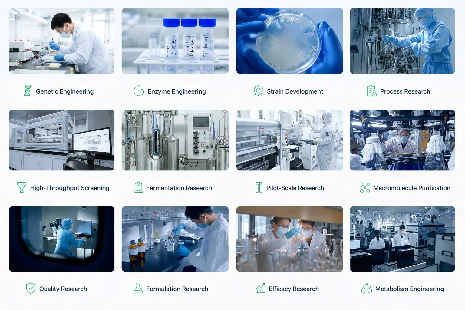 l-carnosine-gmp-manufacturer-production-facility-china-amino-acid-plant