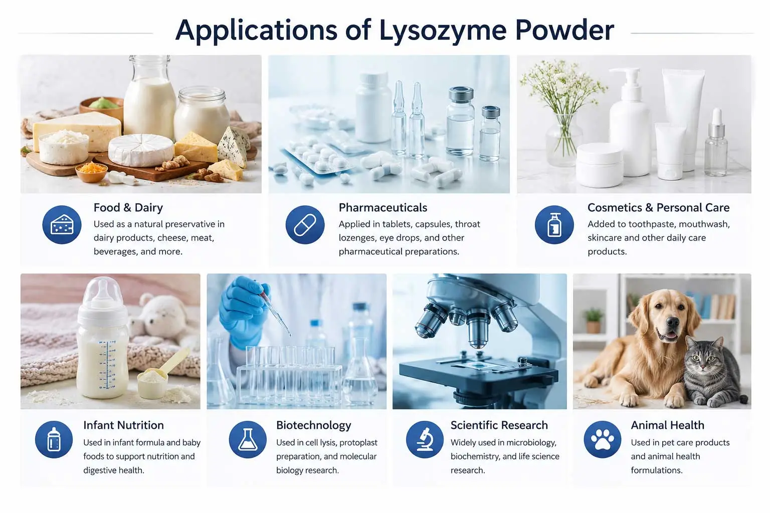 Applications-lysozyme-powder