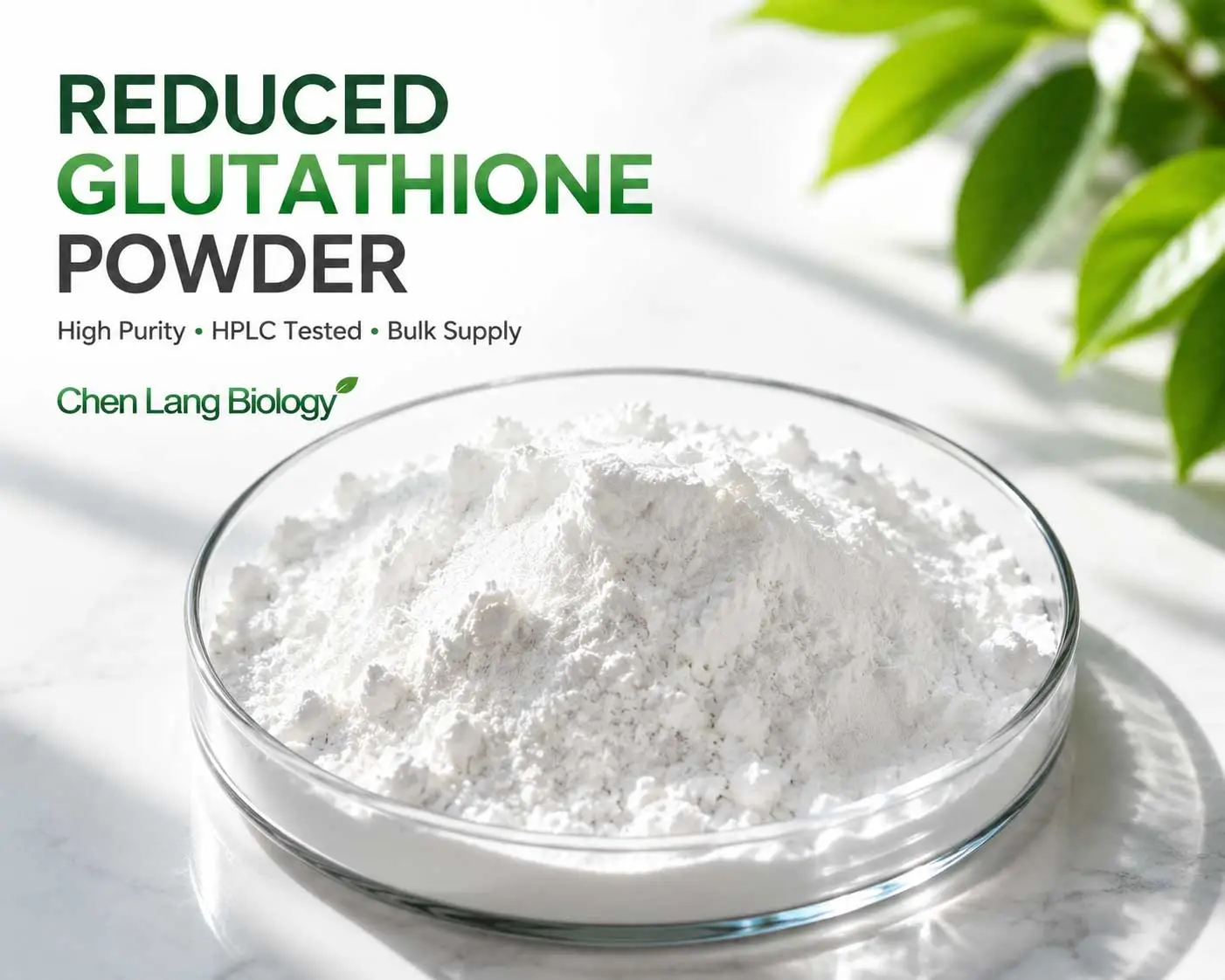 Reduced-Glutathione-Powder-Manufacturer Reduced-Glutathione-Powder-Manufacturer