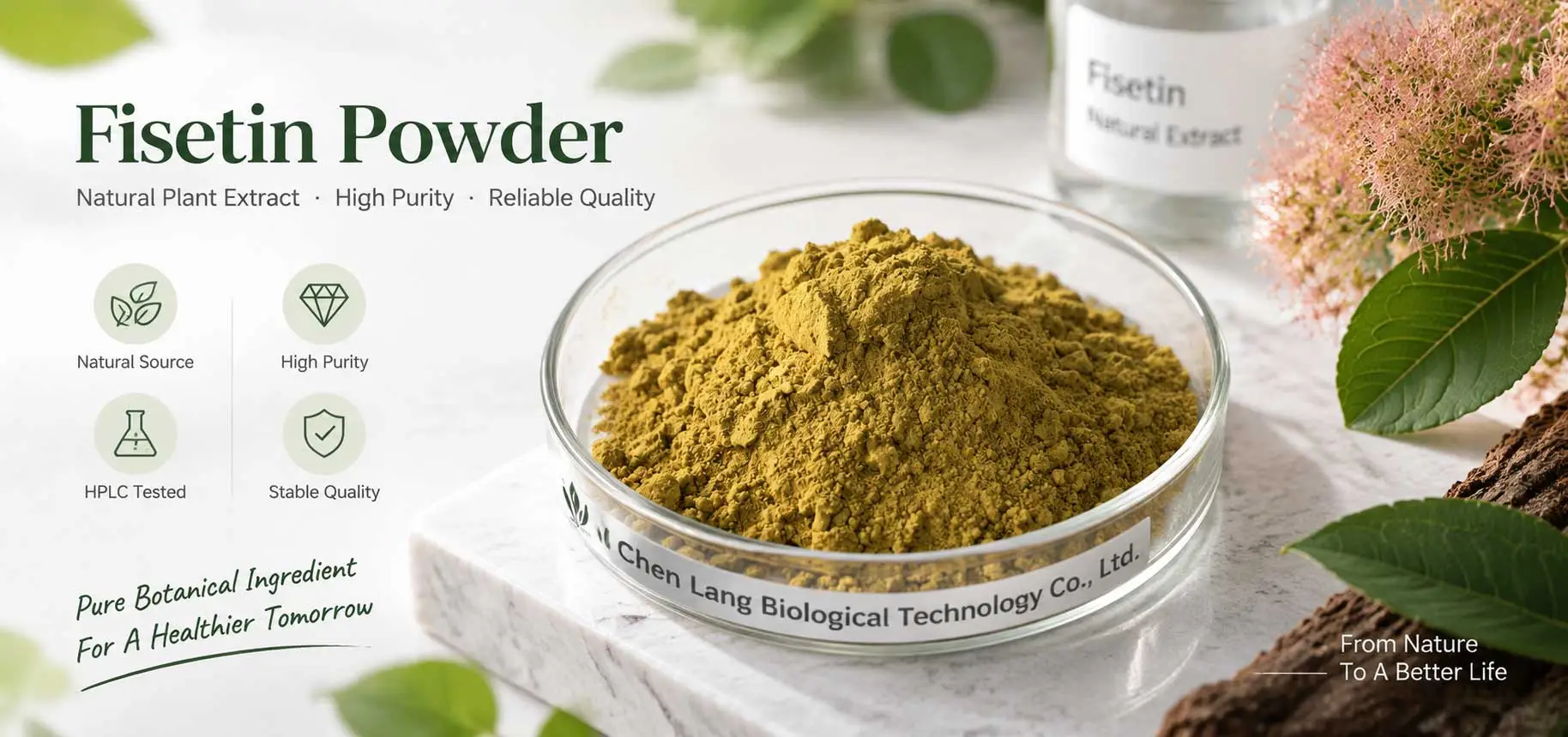 fisetin-powder-online-supplier fisetin-powder-online-supplier