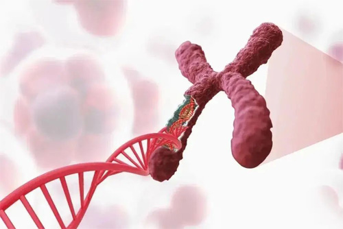 Wholeheartedly cooperate to create higher quality.