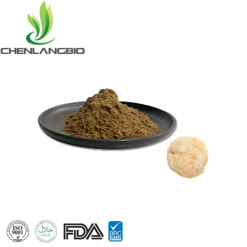 Lion's Mane Mycelium Powder