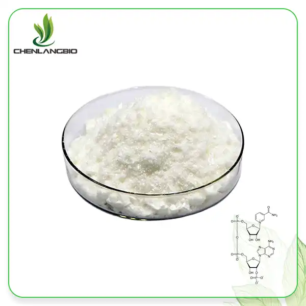 Bergeninum