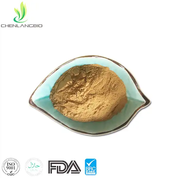Black Ginger Extract Powder